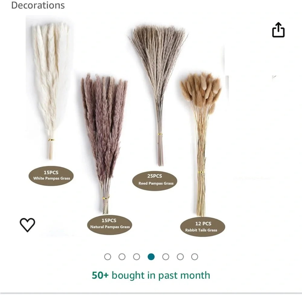 Pampas Grass NIB